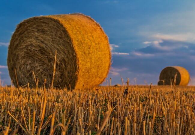The Eastern Plains Healthcare Consortium (EPHC)
